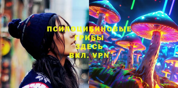 героин Лагань