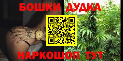 стафф Гусев