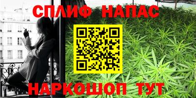стафф Гусев