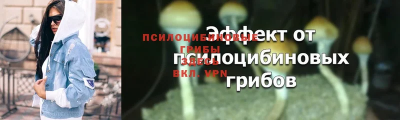 Галлюциногенные грибы Magic Shrooms  Казань 