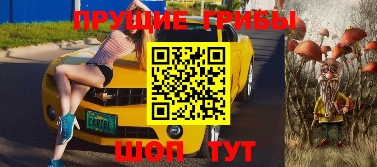 Галлюциногенные грибы GOLDEN TEACHER Казань