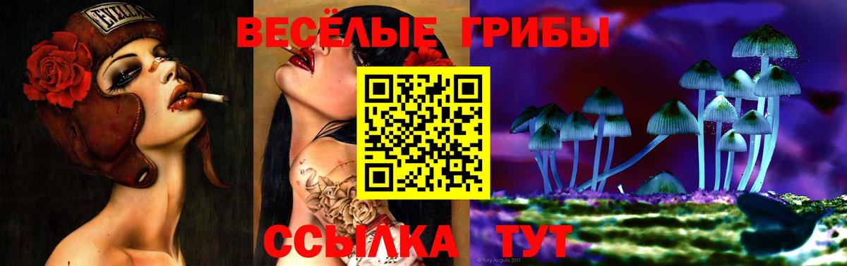 Псилоцибиновые грибы ЛСД  дарнет шоп  Казань  Псилоцибиновые грибы Psilocybine cubensis  Вход с VPN 